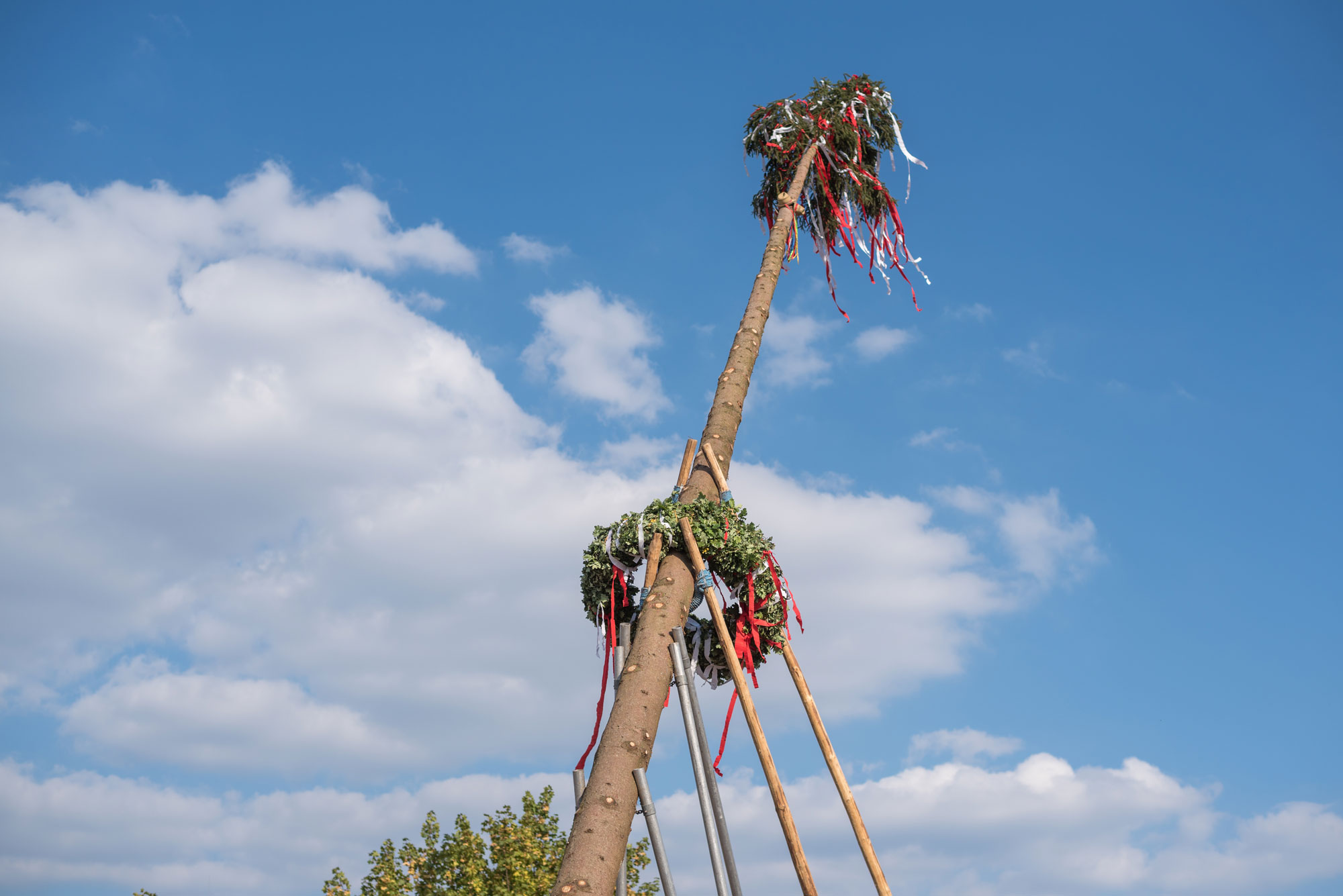 Maibaum Maibaum aufstellen Aufmacherbild